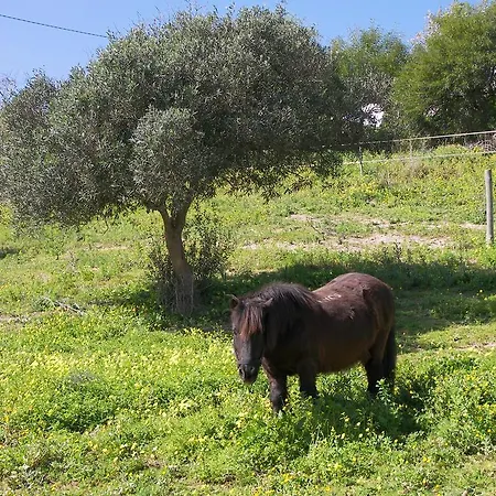 Εξοχικό σπίτι Quinta Das Estrelas