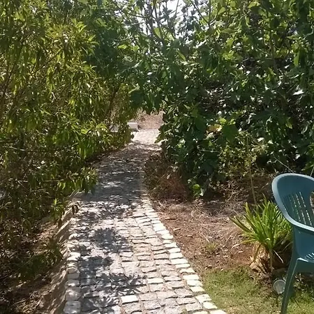 Quinta Das Estrelas
